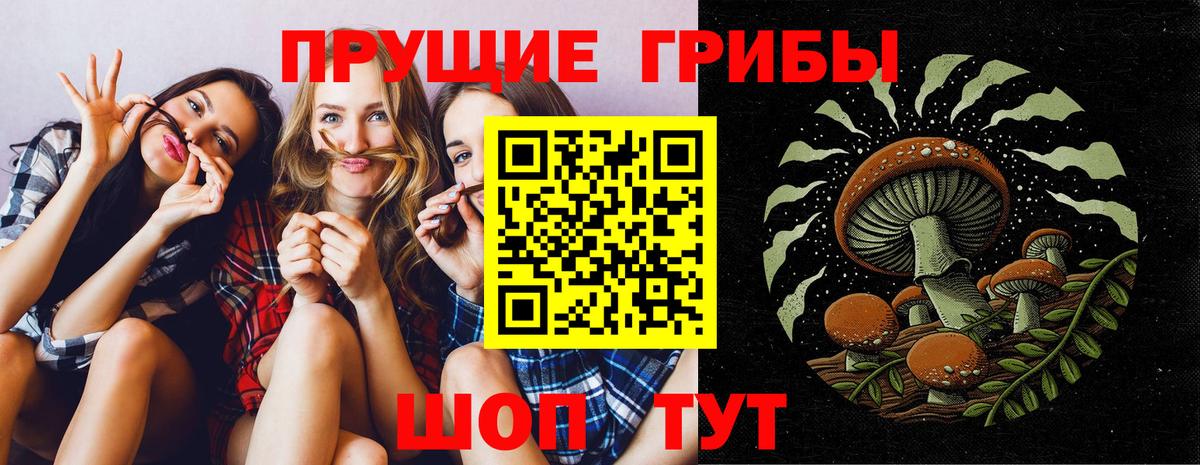 Галлюциногенные грибы Cubensis  Галлюциногенные грибы MAGIC MUSHROOMS  Вход с VPN  Избербаш 
